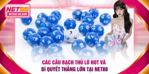 Tin Tức NET88 - Cung Cấp Chỉ Dẫn Cá Cược Cho Người Mới - Gi79