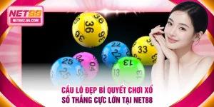 Tin Tức NET88 - Cung Cấp Chỉ Dẫn Cá Cược Cho Người Mới - Gi79