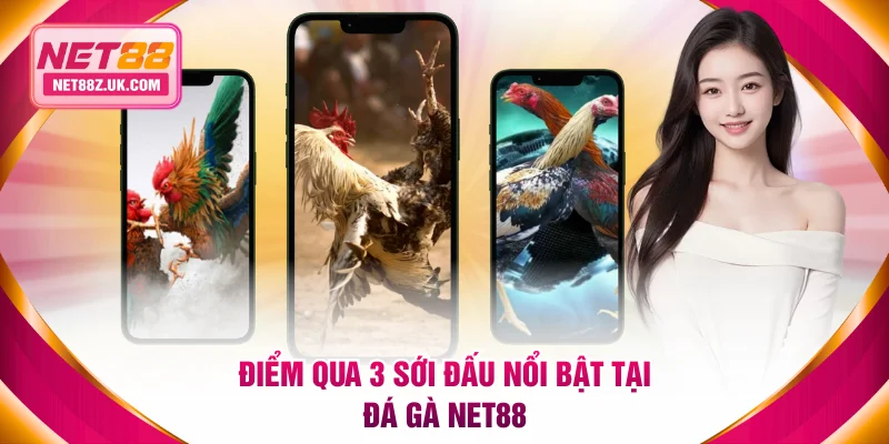 Đá Gà NET88 - Nơi Quy Tụ Những Trận So Tài Kịch Tính - Gi79