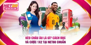 Tin Tức NET88 - Cung Cấp Chỉ Dẫn Cá Cược Cho Người Mới - Gi79