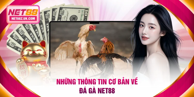 Đá Gà NET88 - Nơi Quy Tụ Những Trận So Tài Kịch Tính - Gi79