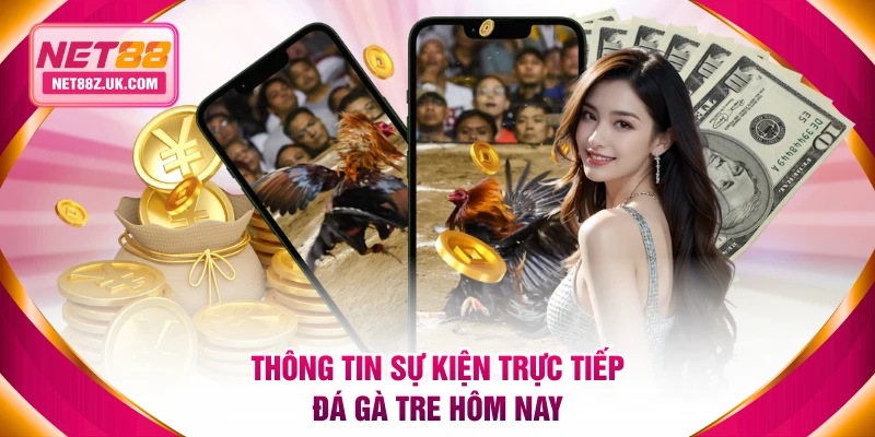 Trực Tiếp Đá Gà Tre Là Gì? Xem Trận Hình Ảnh Chất Lượng 4K - Gi79