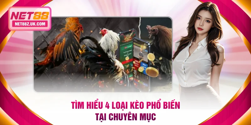 Đá Gà NET88 - Nơi Quy Tụ Những Trận So Tài Kịch Tính - Gi79
