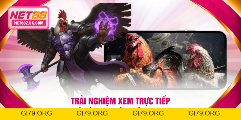 Trực Tiếp Đá Gà Tre Là Gì? Xem Trận Hình Ảnh Chất Lượng 4K - Gi79