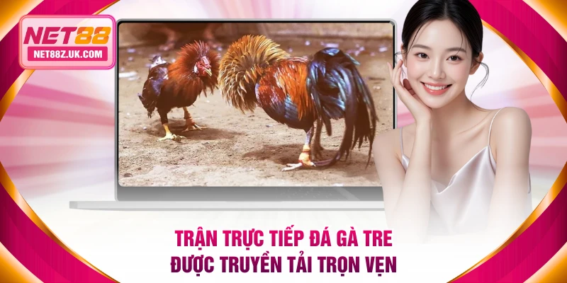 Trực Tiếp Đá Gà Tre Là Gì? Xem Trận Hình Ảnh Chất Lượng 4K - Gi79